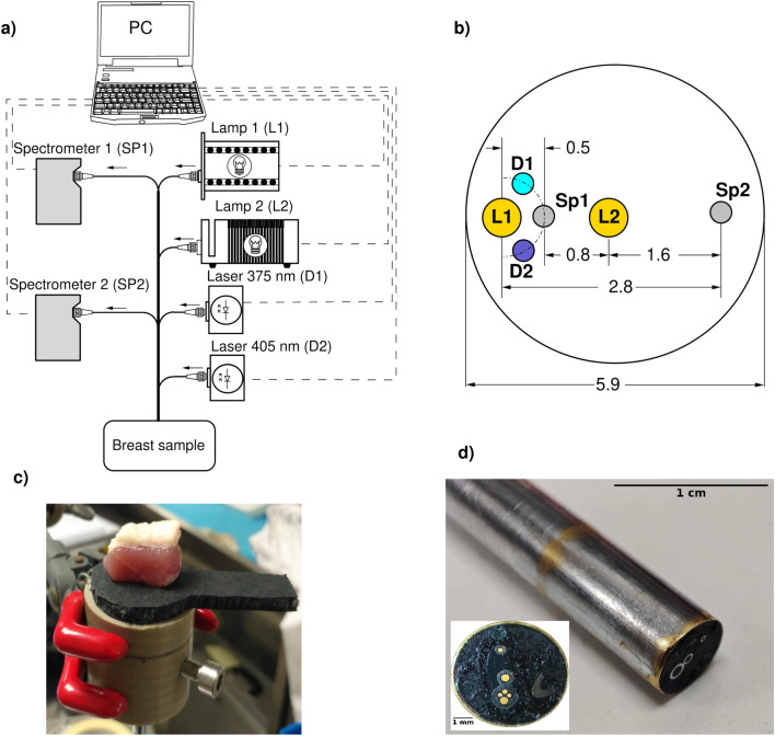Diffuse reflectance and fluorescence spectroscopy for breast conserving surgery.