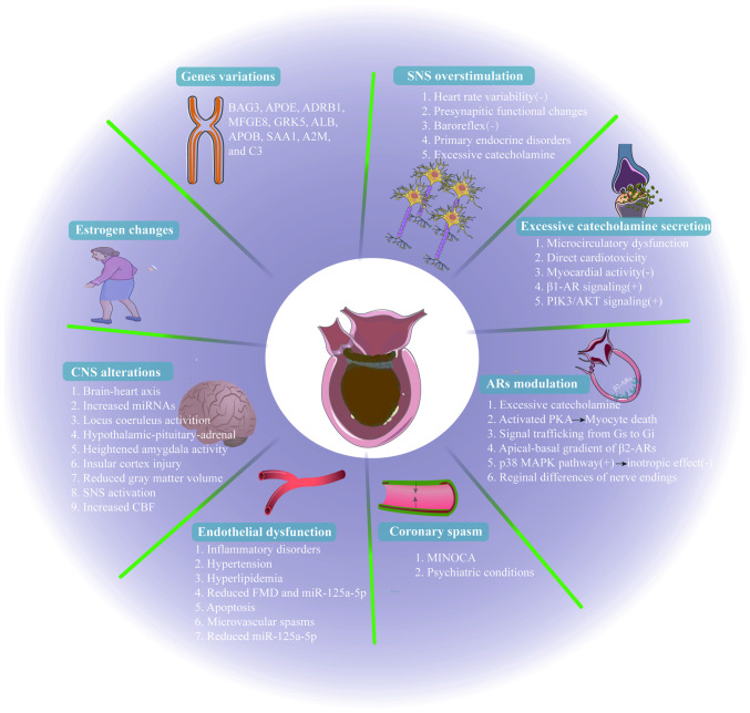 Takotsubo syndrome: Unraveling the mystery behind its triggers (Review).