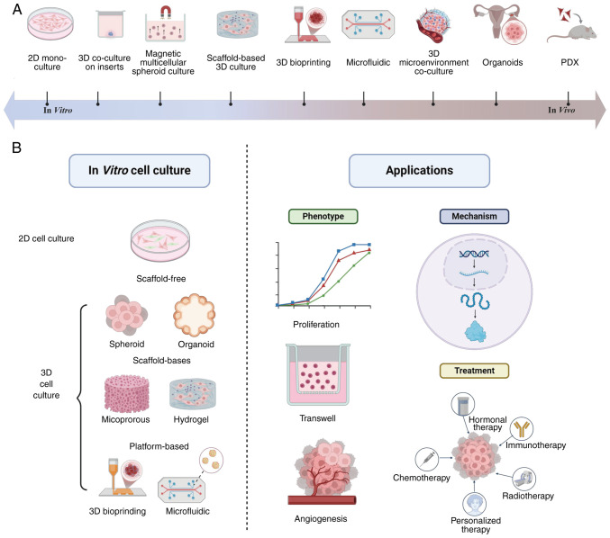 Insights on the differences between two‑ and three‑dimensional culture systems in tumor models (Review).