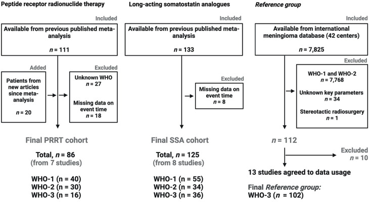 The concept, intention, and evaluation of the term treatment-refractory meningioma.