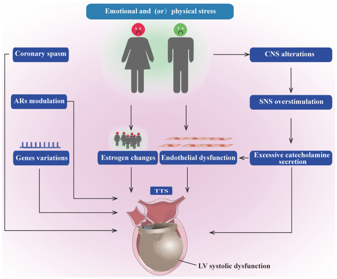 Takotsubo syndrome: Unraveling the mystery behind its triggers (Review).