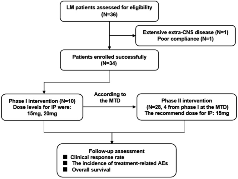 Intrathecal pemetrexed for newly diagnosed leptomeningeal metastases: a multicenter, open-label, phase I/II study.