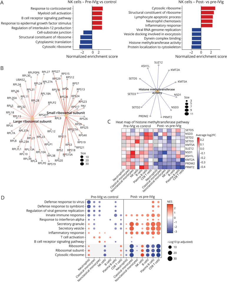 IV Immunoglobulin Is Associated With Epigenetic, Ribosomal, and Immune Changes in Pediatric Acute-Onset Neuropsychiatric Syndrome.