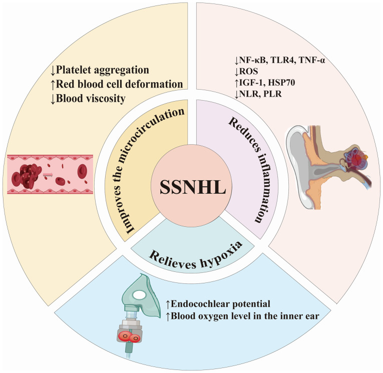 Hyperbaric oxygen therapy for sudden sensorineural hearing loss (Review).
