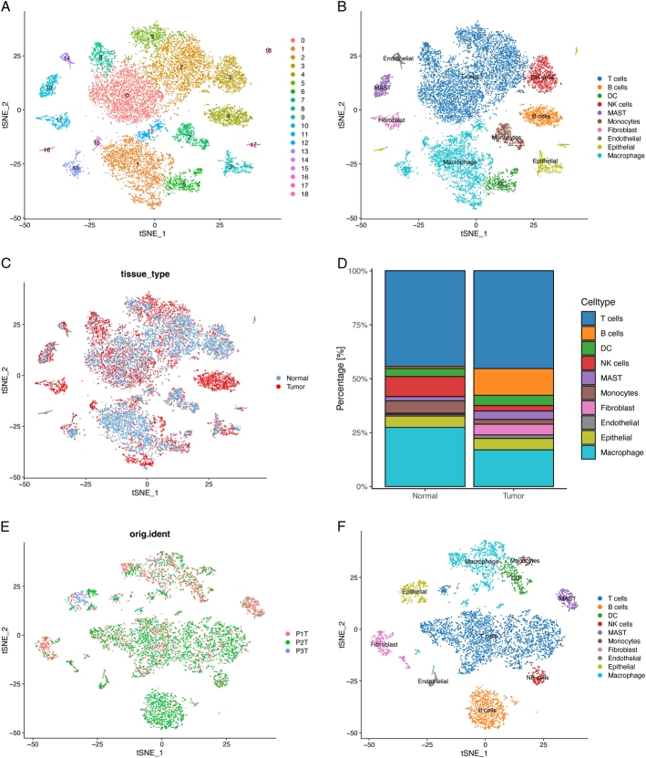 Integrated Analysis of Single-cell and Bulk RNA-Sequencing Identifies a Signature Based on Cancer-related Fibroblast Marker Genes to Predict Prognosis and Therapy Response in Lung Adenocarcinoma.
