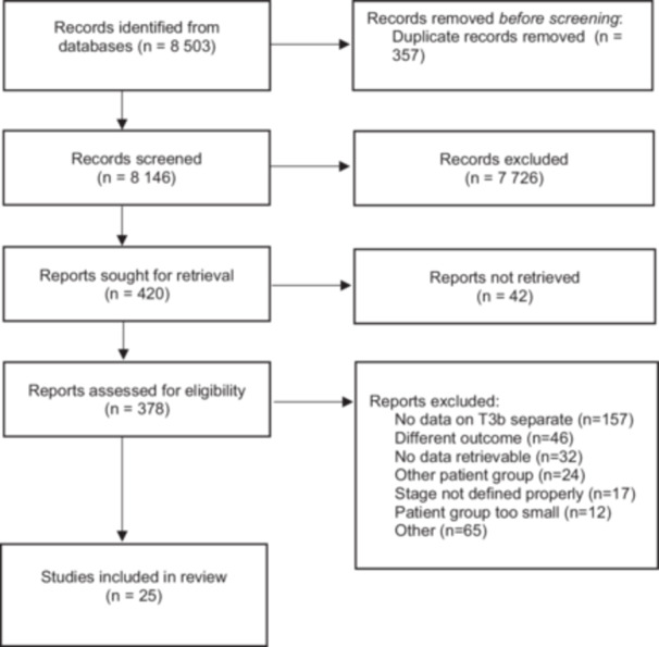 Efficacy of Treatments for T3bN0M0 Prostate Cancer Patients: A Systematic Review and Meta-Analysis.