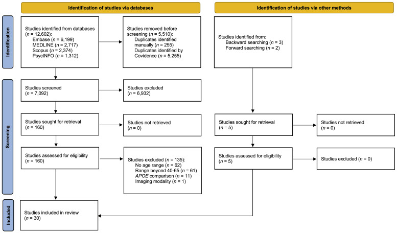 APOE ε4-related differences in brain structure, function, and connectivity at midlife: A scoping review.