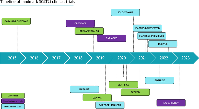 SGLT2 Inhibition in Heart Failure: Clues to Cardiac Effects?