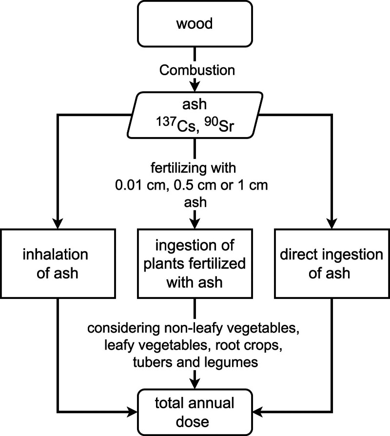Dose Assessment for Wood Fuels and Their Ashes Available in Austria.
