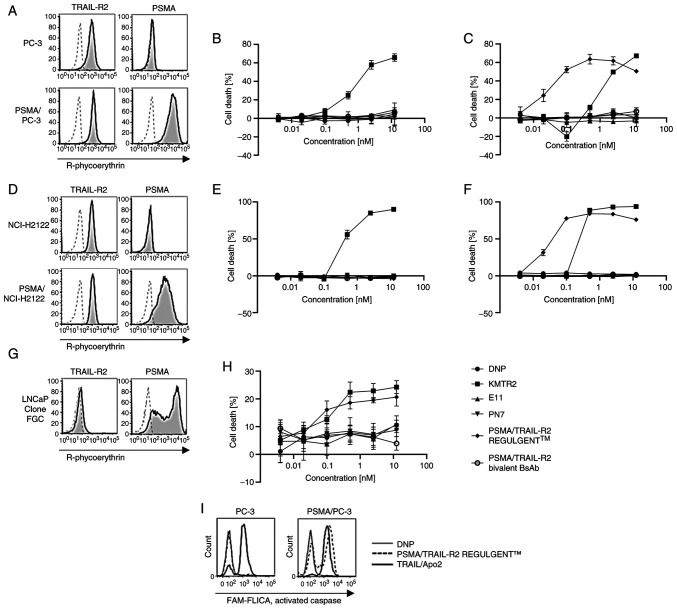 Novel tetravalent bispecific antibody, PSMA/TRAIL‑R2 REGULGENT™, induces selective tumor cell apoptosis without hepatotoxicity.