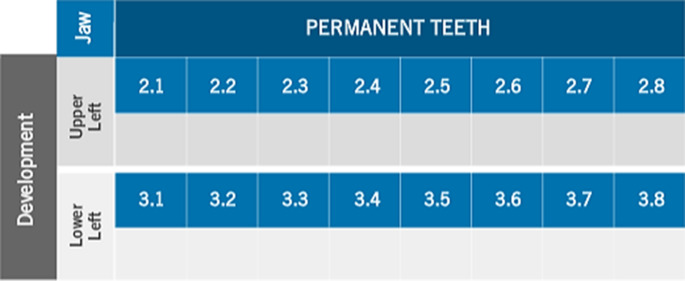 Reliability of London atlas for dental age estimation in an Australian cohort.