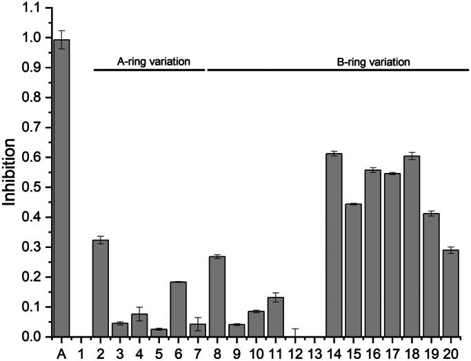 Chalcones inhibit firefly bioluminescence dependent on A and B-ring substitution pattern - a structure-activity study combined with molecular docking.