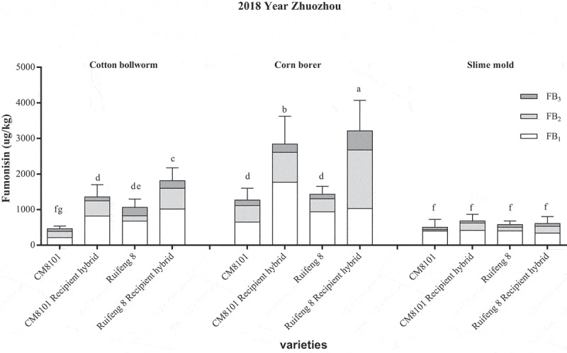 Two genetically modified insect-resistant maize events reduced fumonisin pollution under the stress of Lepidoptera in China.