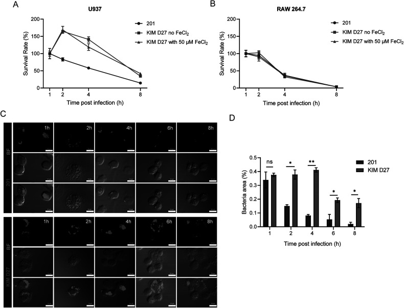 Molecular turn in <i>Yersinia pestis</i> pathogenesis: implications of the <i>gppA</i> frameshift for bacterial survival in human macrophage.