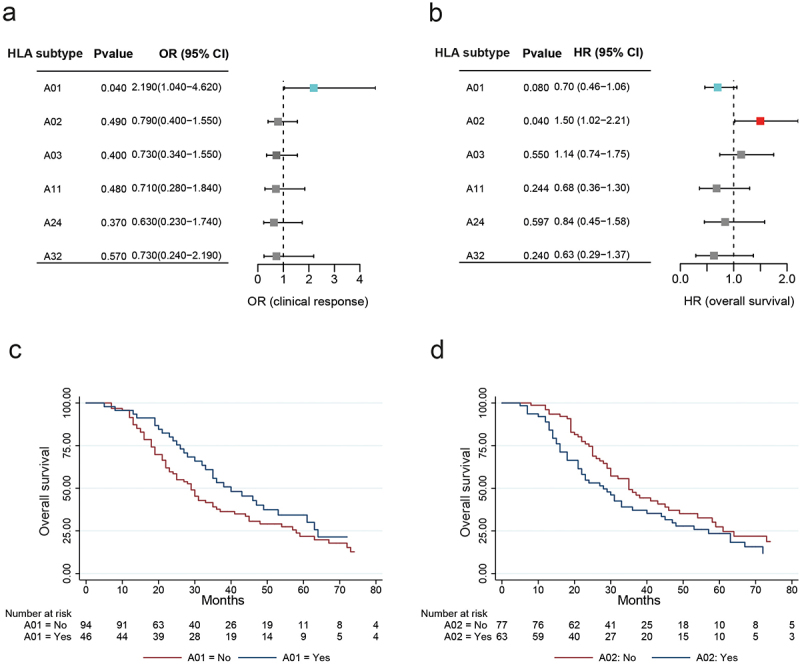 Patient-specific HLA-I subtypes predict response to immune checkpoint blockade.