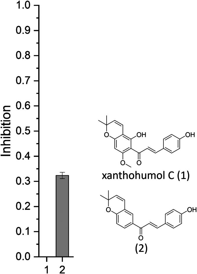Chalcones inhibit firefly bioluminescence dependent on A and B-ring substitution pattern - a structure-activity study combined with molecular docking.