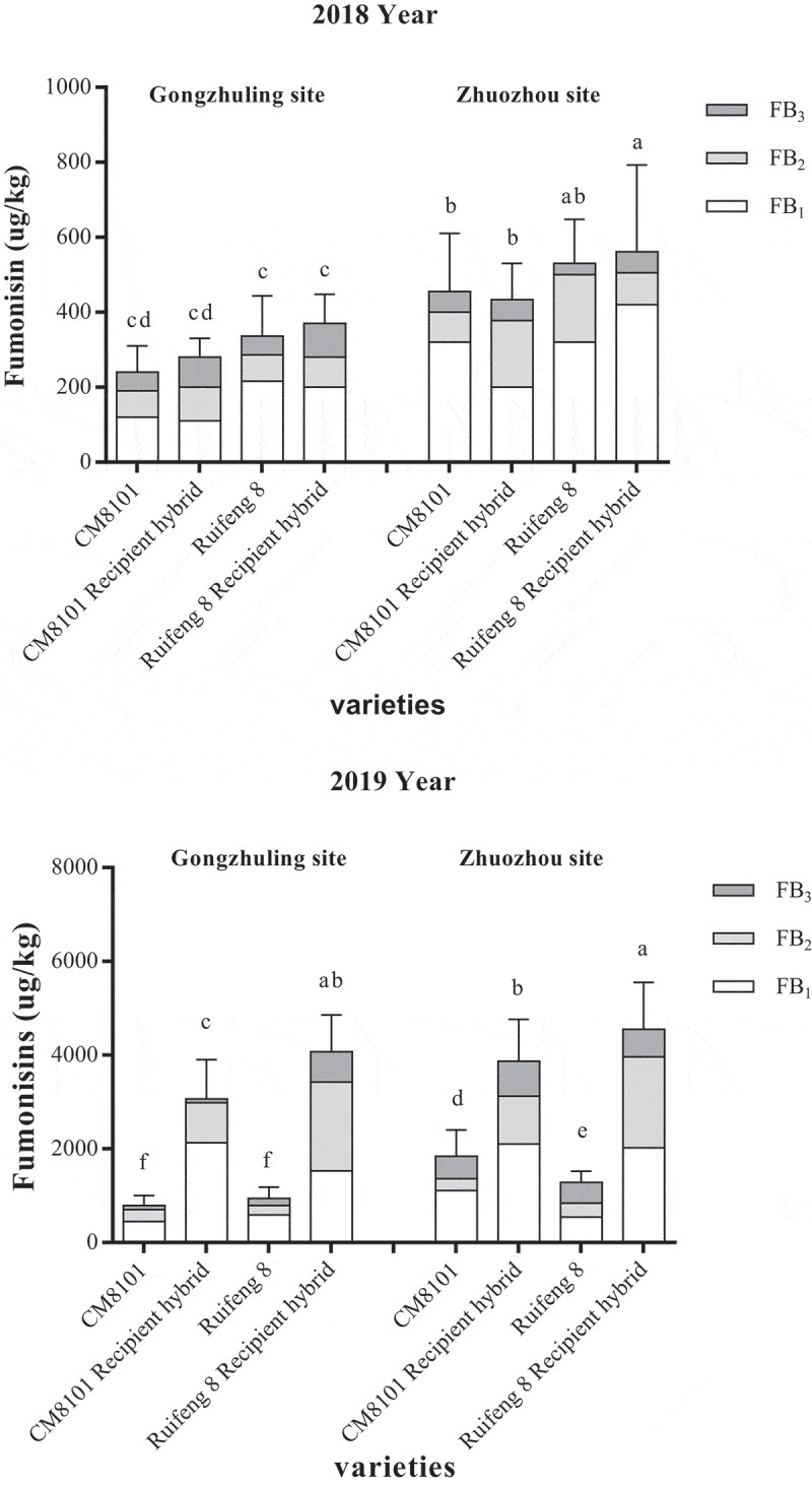 Two genetically modified insect-resistant maize events reduced fumonisin pollution under the stress of Lepidoptera in China.