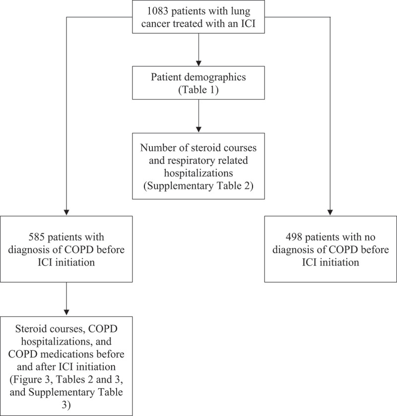 Evaluating the effect of immune checkpoint inhibitor treatment on chronic obstructive pulmonary disease in lung cancer patients.