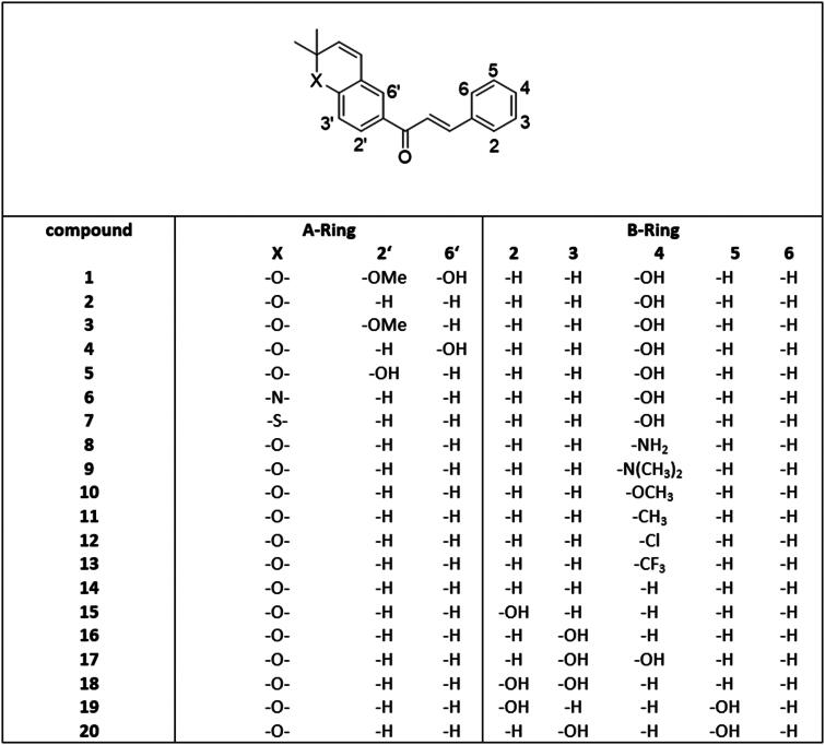 Chalcones inhibit firefly bioluminescence dependent on A and B-ring substitution pattern - a structure-activity study combined with molecular docking.