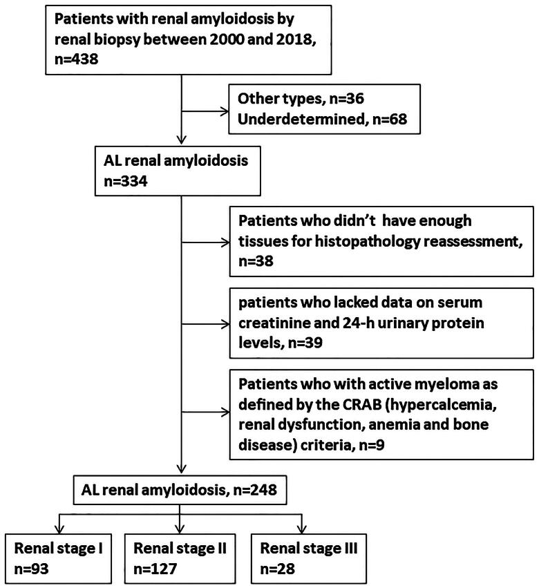 Validation of a renal staging system and its association with renal amyloid deposition burden in AL amyloidosis.