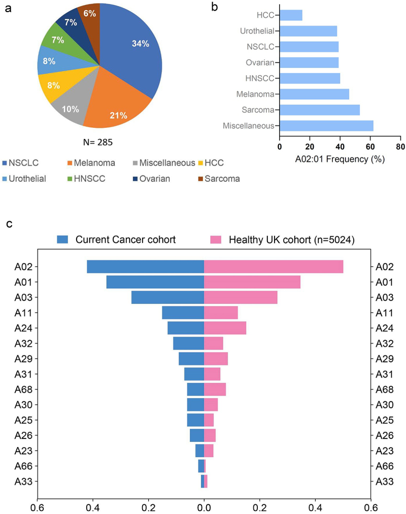 Patient-specific HLA-I subtypes predict response to immune checkpoint blockade.