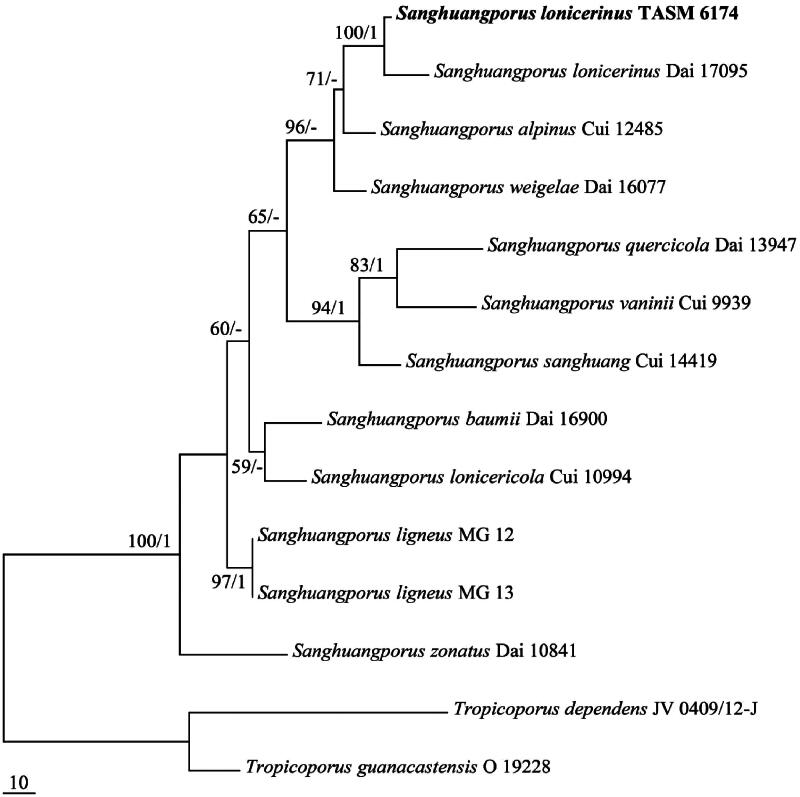 Bioactivity profiling of <i>Sanghuangporus lonicerinus</i>: antioxidant, hypoglycaemic, and anticancer potential via <i>in-vitro</i> and <i>in-silico</i> approaches.