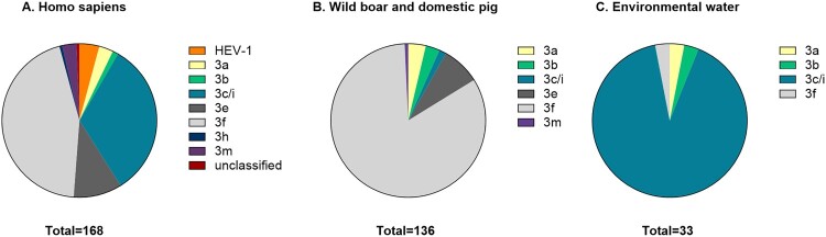 Distinct distribution of HEV-3 subtypes across humans, animals, and environmental waters in Sweden.