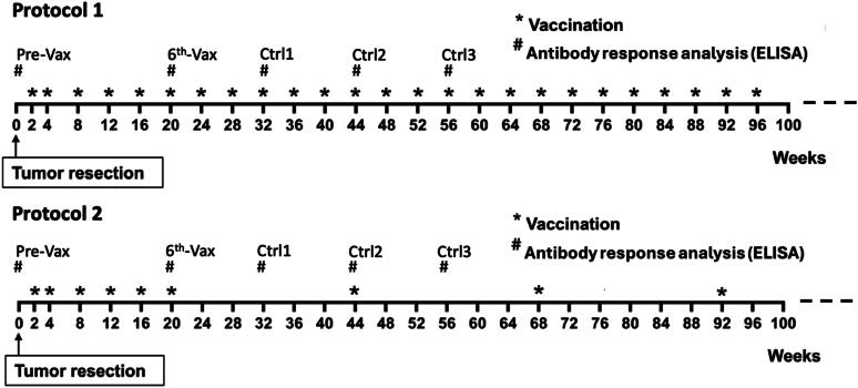 Clinical evaluation of HuDo-CSPG4 DNA electroporation as adjuvant treatment for canine oral malignant melanoma: comparison of two vaccination protocols.