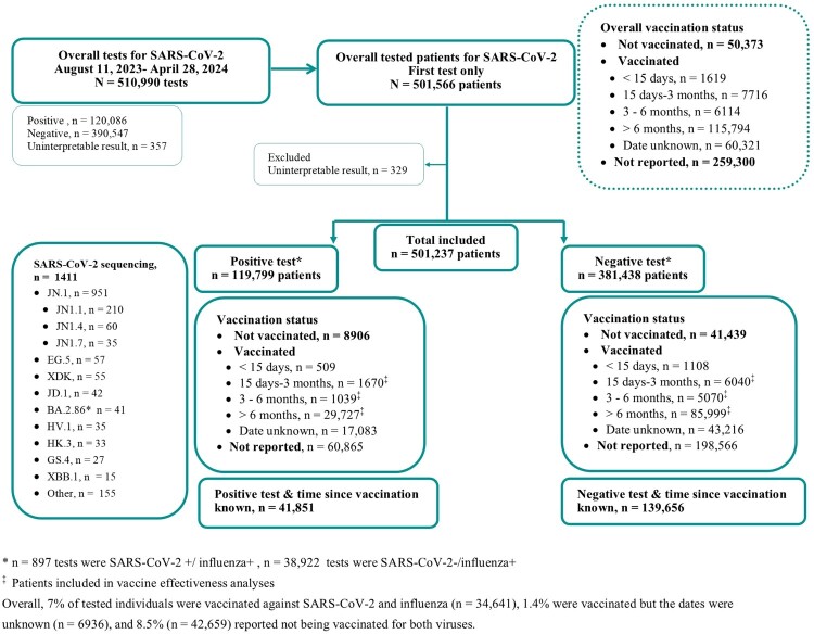 Vaccine effectiveness dynamics against influenza and SARS-CoV-2 in community-tested patients in France 2023-2024.