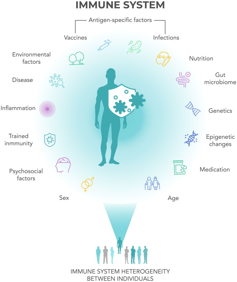 Age-related changes in the immune system and challenges for the development of age-specific vaccines.