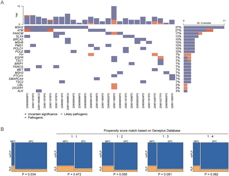 Differences of clinical features, prognosis and genetic mutations in Chinese patients with malignant melanoma and additional primary tumours.