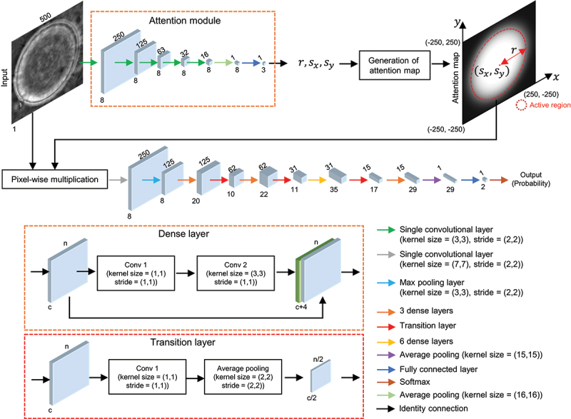Deep learning-based detection of bacterial swarm motion using a single image.