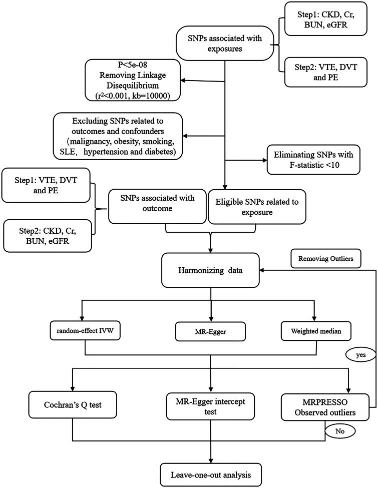Causal relationship between chronic kidney disease, renal function, and venous thromboembolism: a bidirectional Mendelian randomization study.