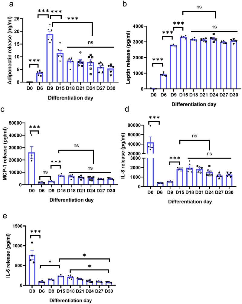 Disrupted adipokine secretion and inflammatory responses in human adipocyte hypertrophy.