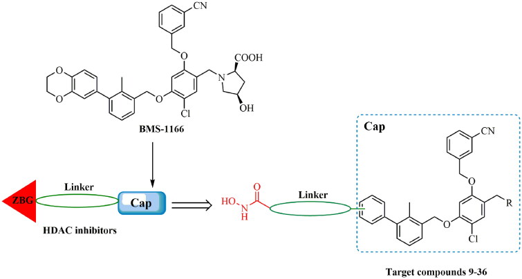 Discovery of novel biphenyl compounds bearing hydroxamic acid moiety as the first PD-L1/class I HDACs dual inhibitors.
