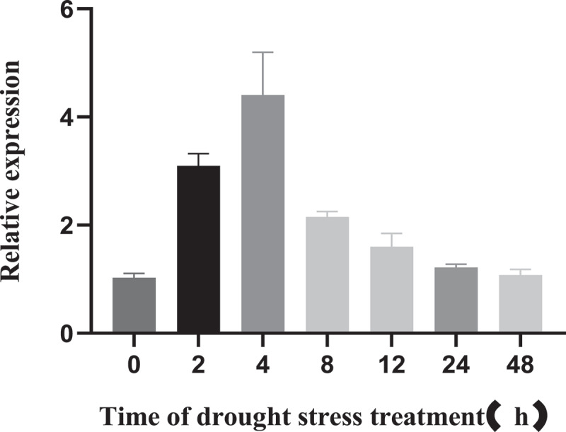 Maize 4-coumarate coenzyme A ligase <i>Zm4CL-like9</i> gene positively regulates drought stress response in <i>Arabidopsis thaliana</i>.