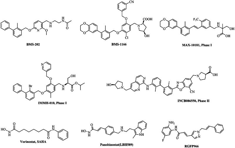 Discovery of novel biphenyl compounds bearing hydroxamic acid moiety as the first PD-L1/class I HDACs dual inhibitors.