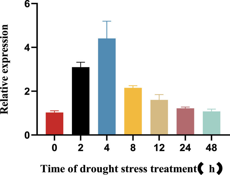 Maize 4-coumarate coenzyme A ligase <i>Zm4CL-like9</i> gene positively regulates drought stress response in <i>Arabidopsis thaliana</i>.