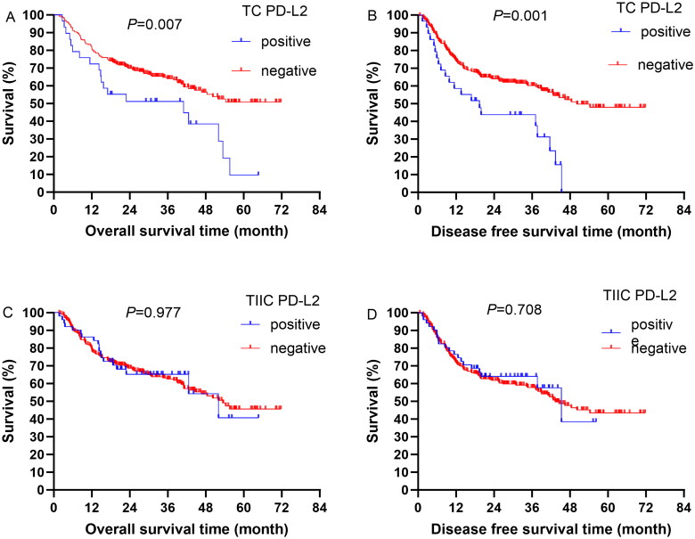The expression and prognostic predictive value of PD-L2 in patients undergoing radical gastric cancer surgery.