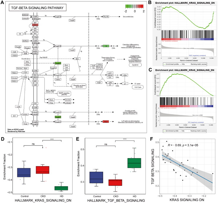 Bioinformatics reveals TNFAIP6 as a candidate gene and suggests its potential crosstalk in the treatment of hemodialysis in chronic kidney disease.