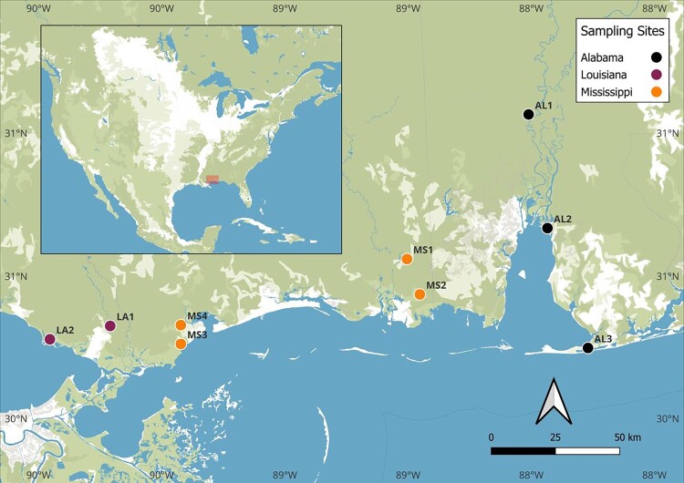 Spatiotemporal distribution of <i>Mycobacterium ulcerans</i> and other mycolactone producing mycobacteria in southeastern United States.