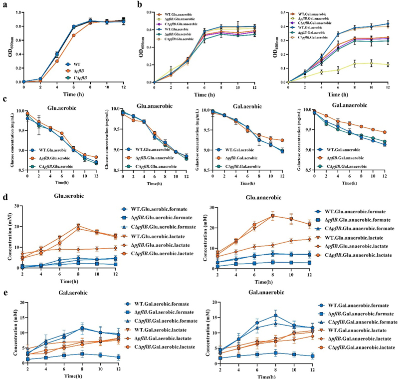 Pyruvate formate lyase regulates fermentation metabolism and virulence of <i>Streptococcus suis</i>.