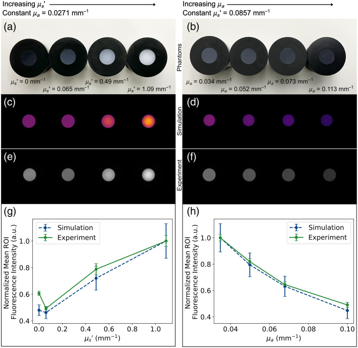 Toward fluorescence digital twins: multi-parameter experimental validation of fluorescence Monte Carlo simulations using solid phantoms.