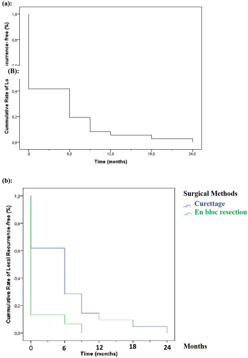 Surgical approaches for the treatment of giant cell tumor of bone in Tunisian patients: association with recurrence.