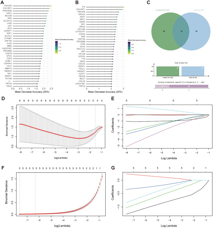 Bioinformatics reveals TNFAIP6 as a candidate gene and suggests its potential crosstalk in the treatment of hemodialysis in chronic kidney disease.