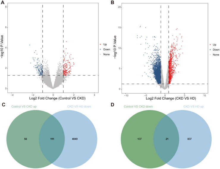 Bioinformatics reveals TNFAIP6 as a candidate gene and suggests its potential crosstalk in the treatment of hemodialysis in chronic kidney disease.