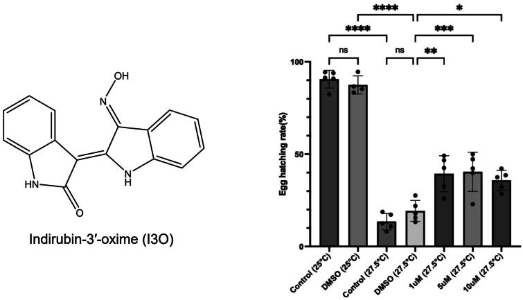 Indirubin-3'-oxime as a dual-action agent: mitigating heat-induced male infertility in <i>Drosophila melanogaster</i> and inhibiting soluble epoxide hydrolase.