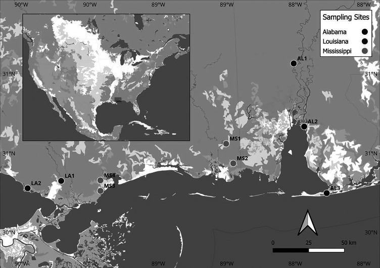 Spatiotemporal distribution of <i>Mycobacterium ulcerans</i> and other mycolactone producing mycobacteria in southeastern United States.