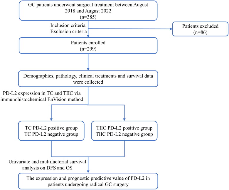 The expression and prognostic predictive value of PD-L2 in patients undergoing radical gastric cancer surgery.