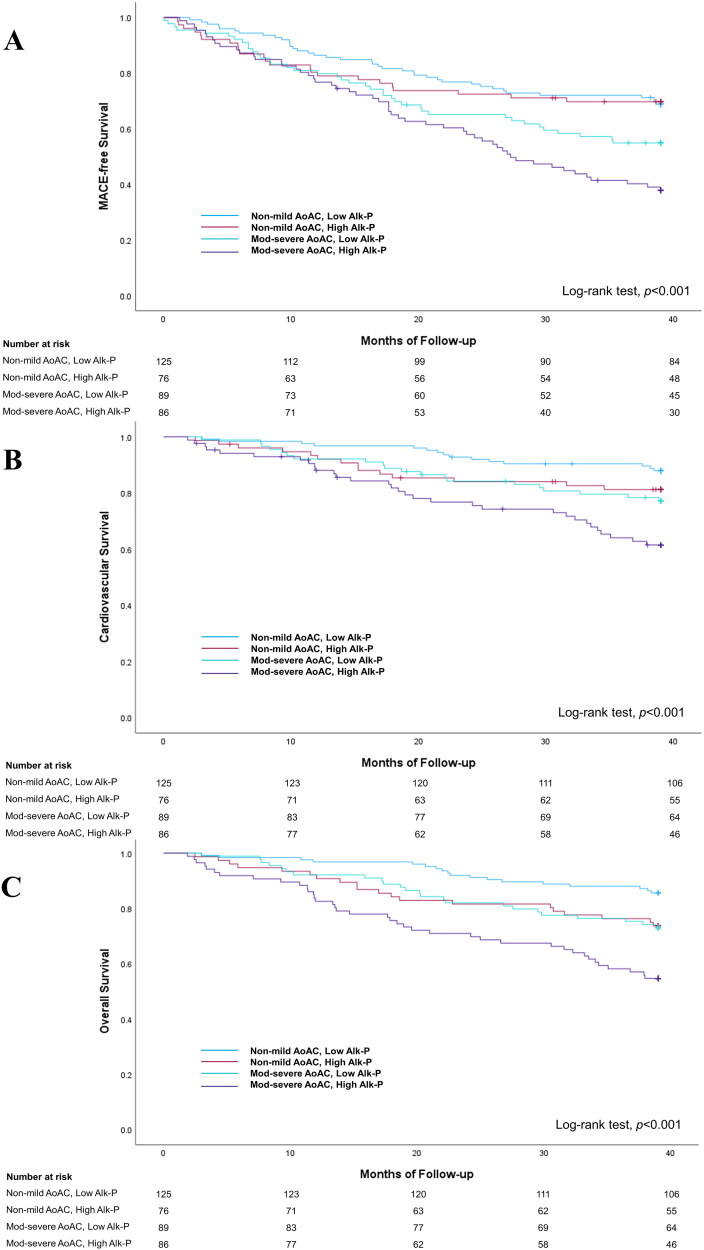 Moderate-severe aortic arch calcification and high serum alkaline phosphatase co-modify the risk of cardiovascular events and mortality among chronic hemodialysis patients.
